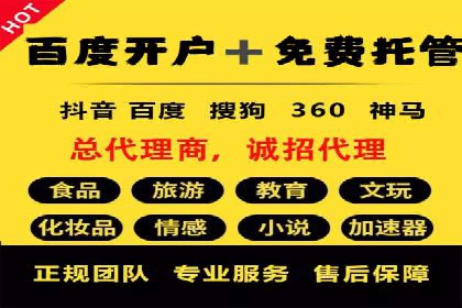 SEM广告投放案例：提升网站流量与转化